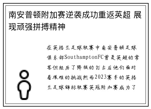 南安普顿附加赛逆袭成功重返英超 展现顽强拼搏精神