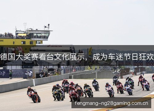德国大奖赛看台文化展示,成为车迷节日狂欢 德国大奖赛看台文化展示,成为车迷节日狂欢